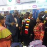 ED-ZITF-stands