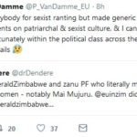 Screenshot_2018-07-23 EU in Zimbabwe ( euinzim) Twitter(1)