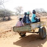 donkeys-cart