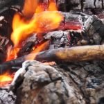 burning-log