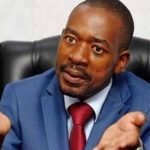 CHAMISA-SAD-BEG