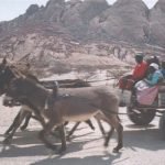 donkey-cart