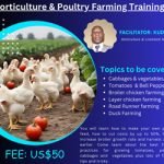 Farmers-Workshop-300×250-banner